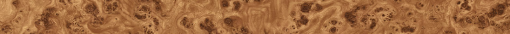cropped-desktop_radica.png